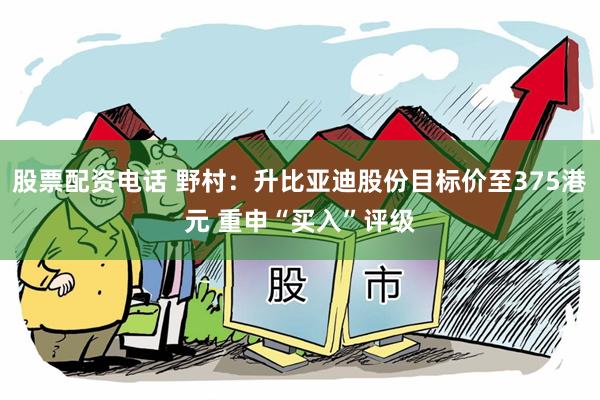 股票配资电话 野村：升比亚迪股份目标价至375港元 重申“买入”评级
