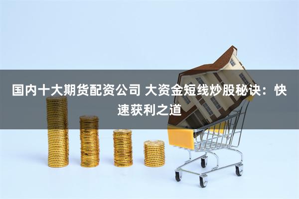 国内十大期货配资公司 大资金短线炒股秘诀：快速获利之道