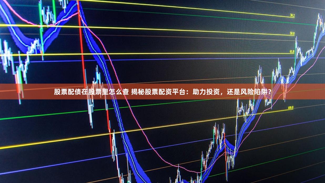 股票配债在股票里怎么查 揭秘股票配资平台：助力投资，还是风险陷阱？