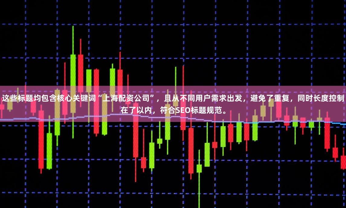 这些标题均包含核心关键词“上海配资公司”，且从不同用户需求出发，避免了重复，同时长度控制在了以内，符合SEO标题规范。